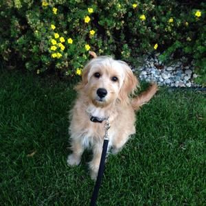 Meet your Posher, Cindy